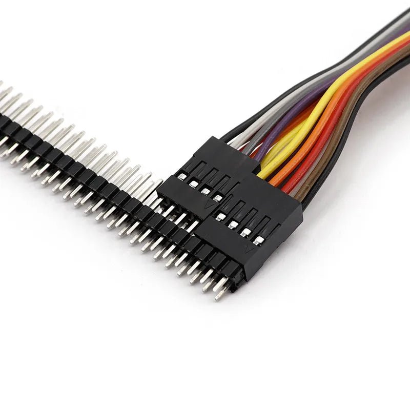 2.54MM Double Row DUPONT LINE DUPONT Connector Plug With Wire Jumper Cable